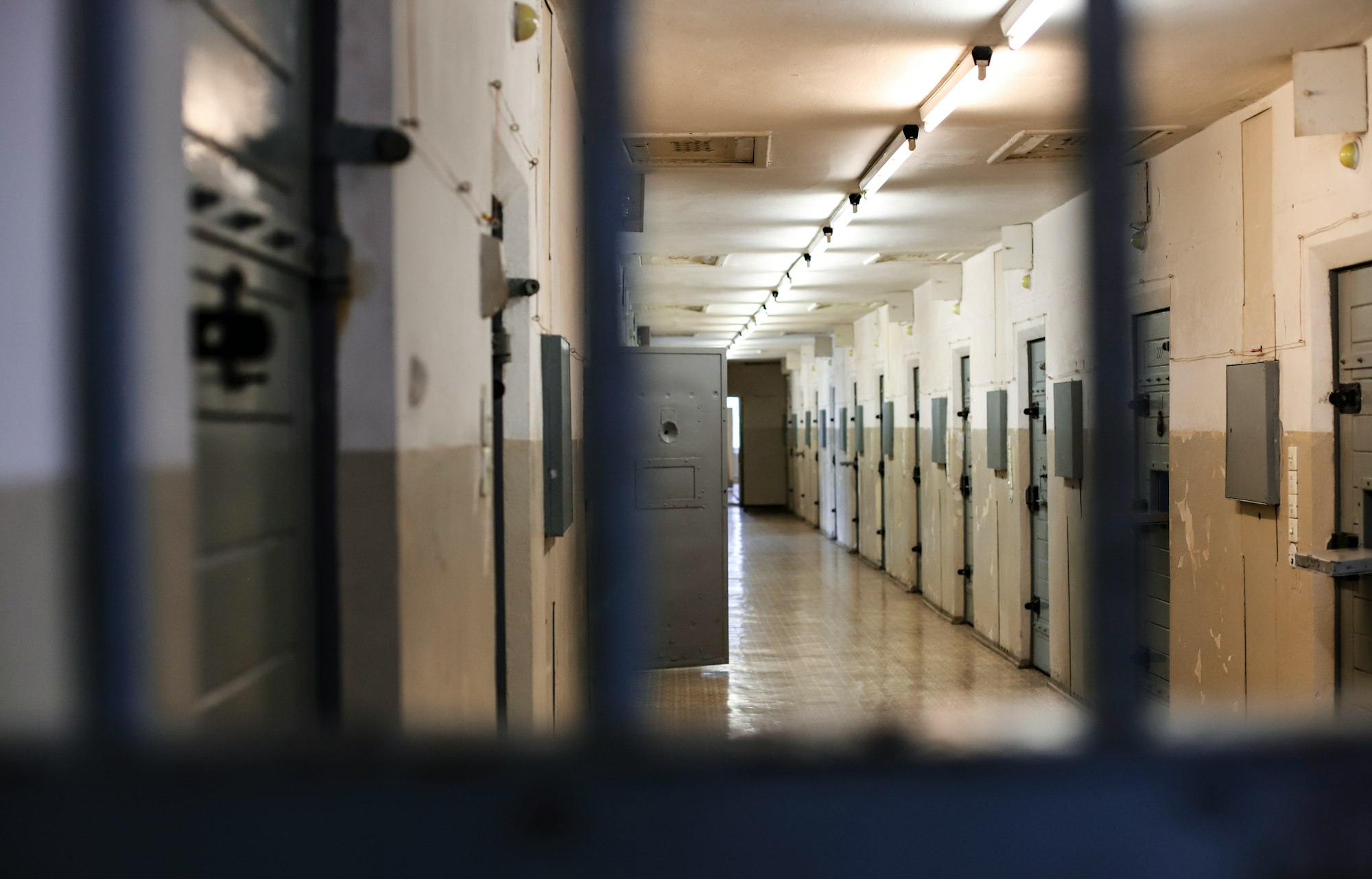 EU Media Freedom Act: Protection or Paradox? An Analysis of Journalist Detention Provisions