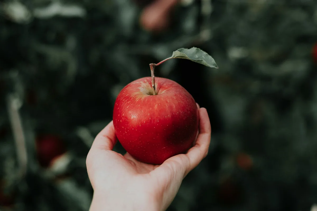 Apple's Evolving Approach to Combatting Child Sexual Abuse Material (CSAM)