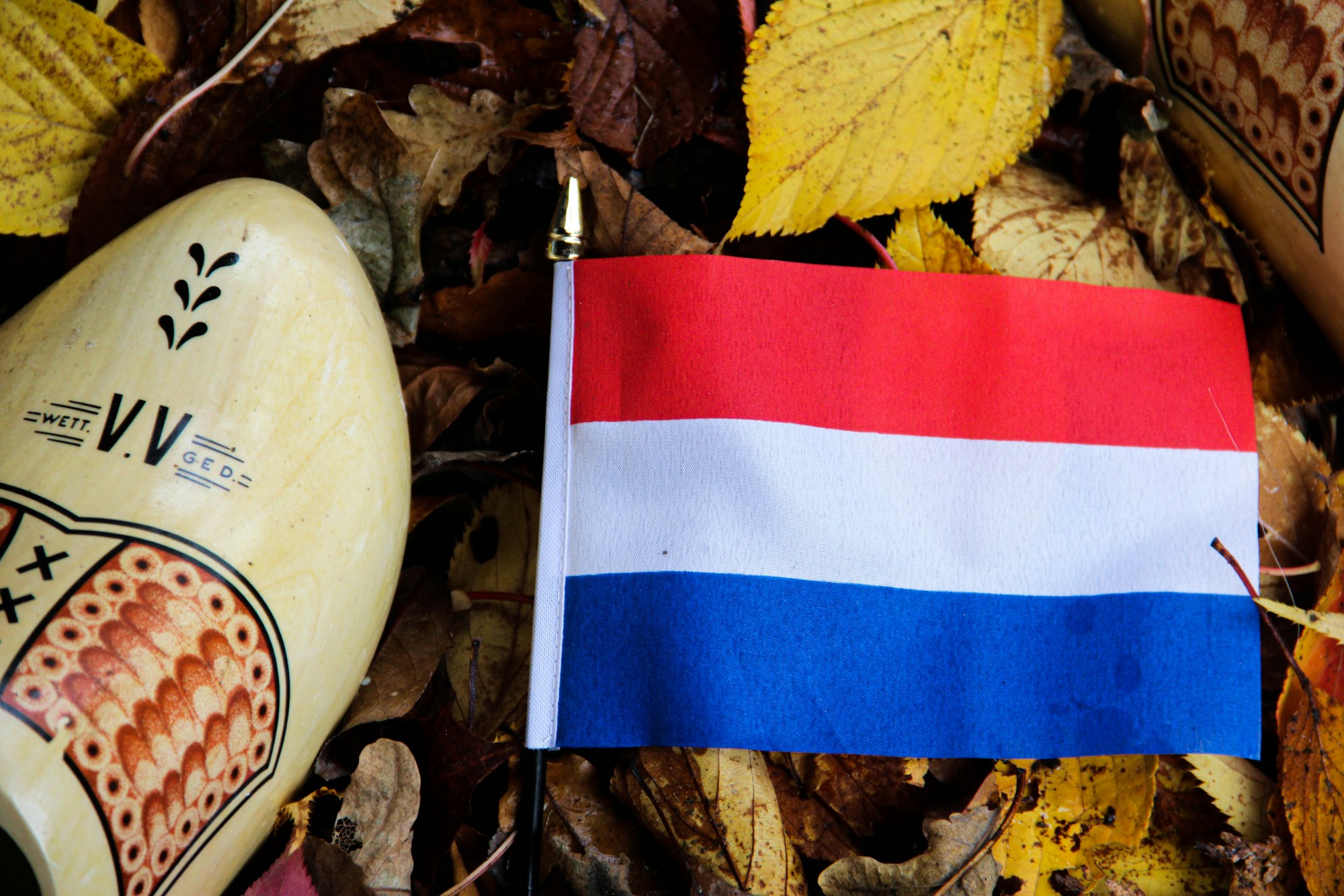 Dutch Regulator Pressures Big Tech on 'Disinformation' Ahead of October Election